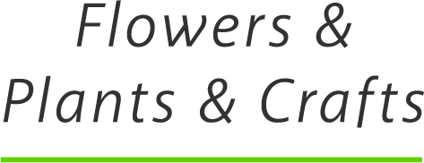 Flowers & Plants & Crafts
